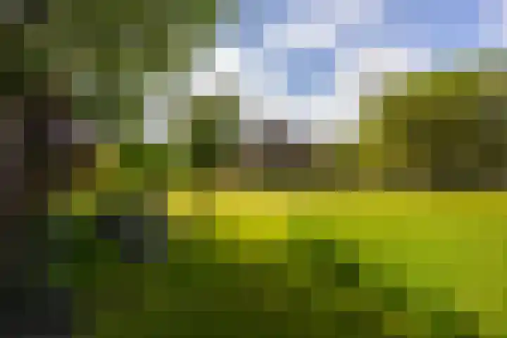 Tondensestraat 7 Tonden thumbnail 73