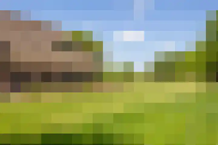 Tondensestraat 7 Tonden thumbnail 76
