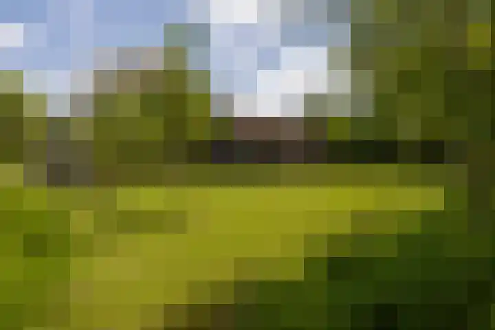 Tondensestraat 7 Tonden thumbnail 77