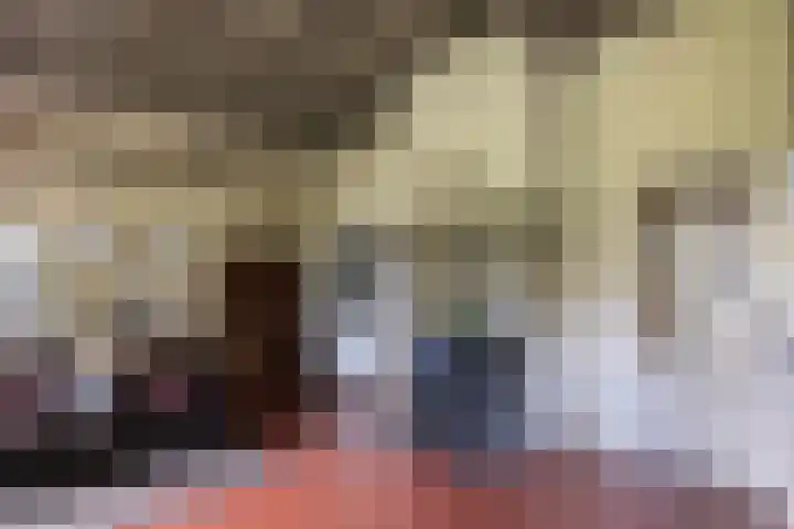 Tondensestraat 7 Tonden thumbnail 8