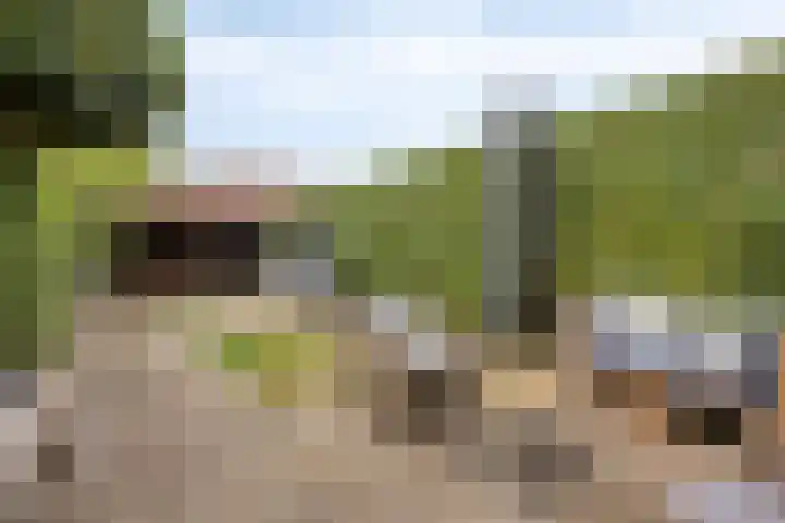 Tongel 13 Geldrop thumbnail 11