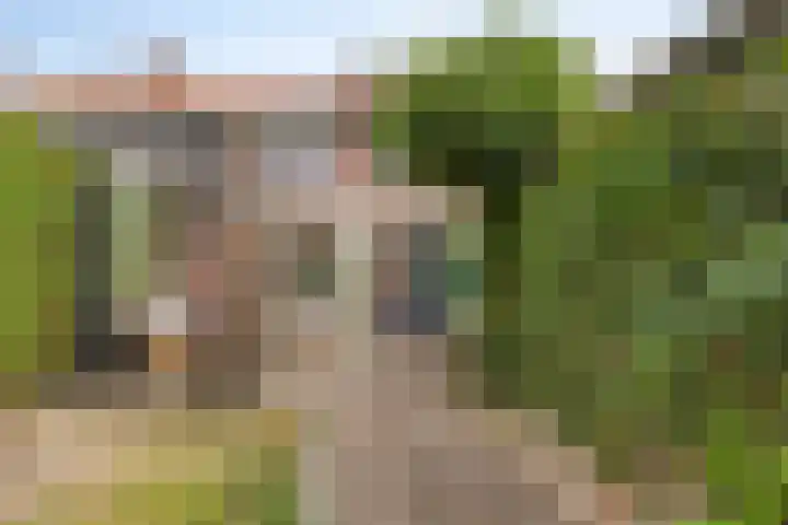 Tongel 13 Geldrop thumbnail 12