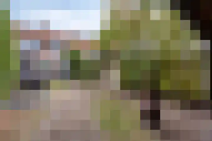 Tongel 13 Geldrop thumbnail 13
