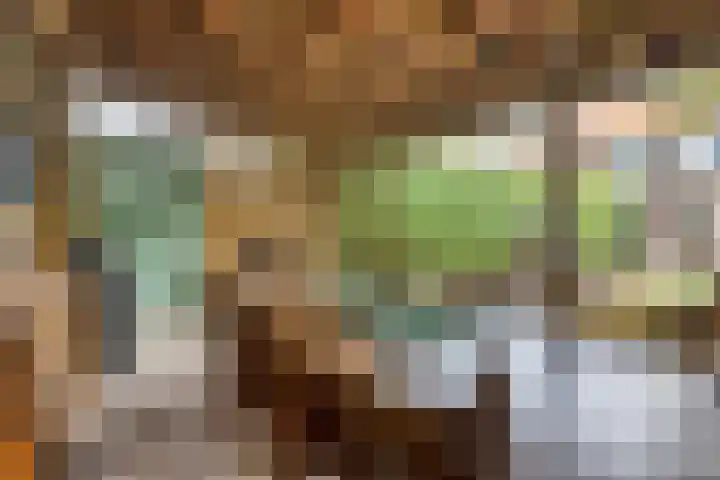 Tongel 13 Geldrop thumbnail 14