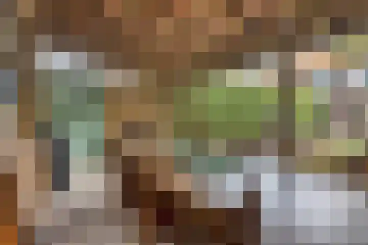 Tongel 13 Geldrop thumbnail 15