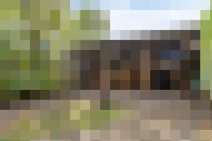 Tongel 13 Geldrop thumbnail 16