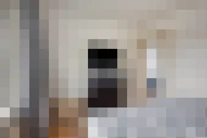 Tongel 13 Geldrop thumbnail 20
