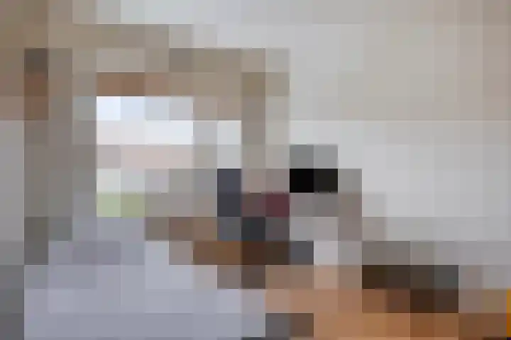 Tongel 13 Geldrop thumbnail 22