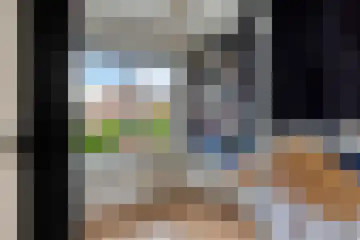 Tongel 13 Geldrop thumbnail 24