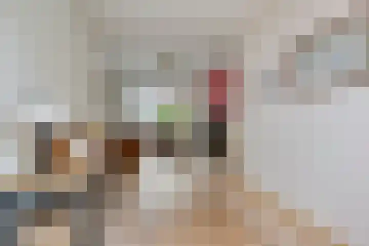 Tongel 13 Geldrop thumbnail 4