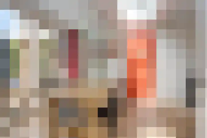 Tongel 13 Geldrop thumbnail 5