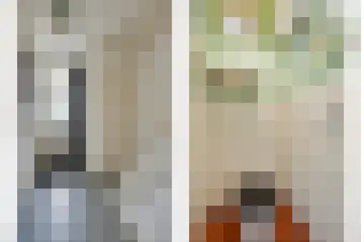Tongel 13 Geldrop thumbnail 6