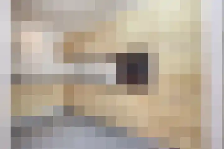 Tongel 13 Geldrop thumbnail 7