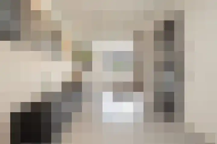 Tongelaar 24 Waalwijk thumbnail 10