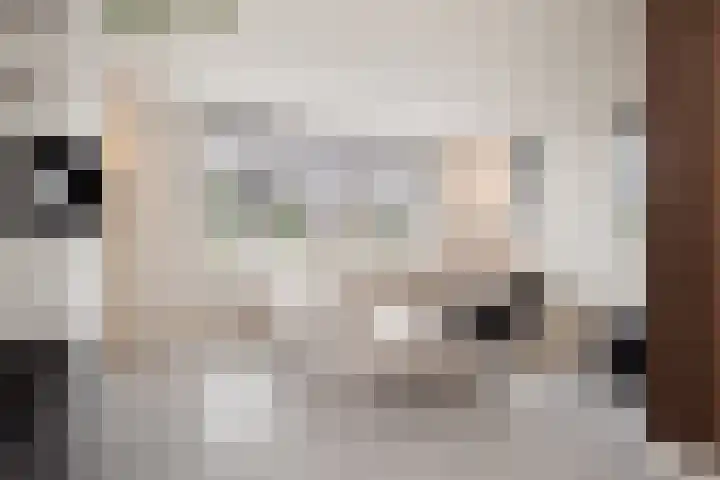Tongelaar 24 Waalwijk thumbnail 11