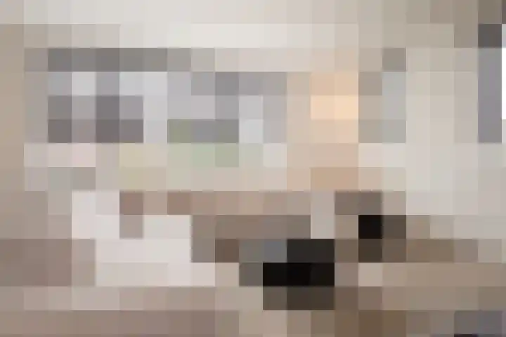 Tongelaar 24 Waalwijk thumbnail 12