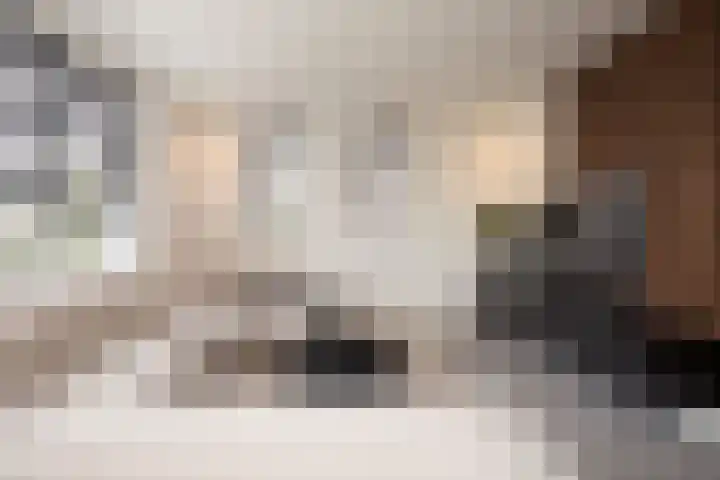 Tongelaar 24 Waalwijk thumbnail 13