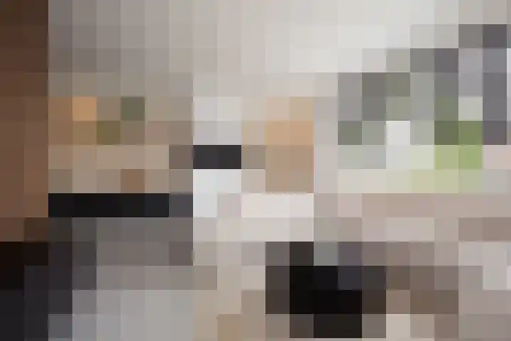 Tongelaar 24 Waalwijk thumbnail 14