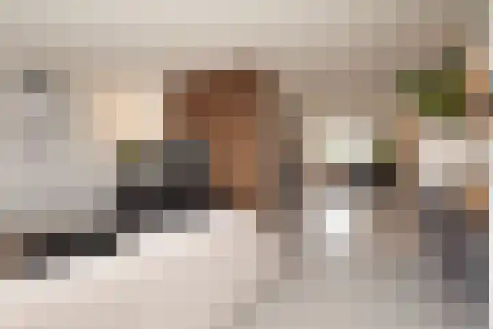 Tongelaar 24 Waalwijk thumbnail 15