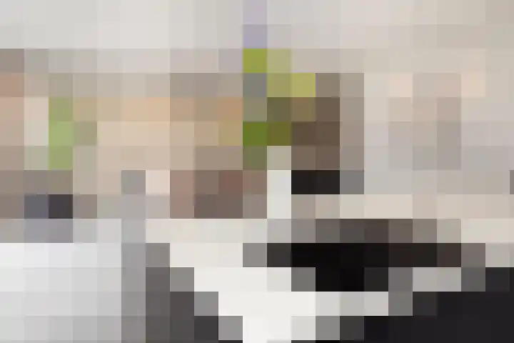 Tongelaar 24 Waalwijk thumbnail 22