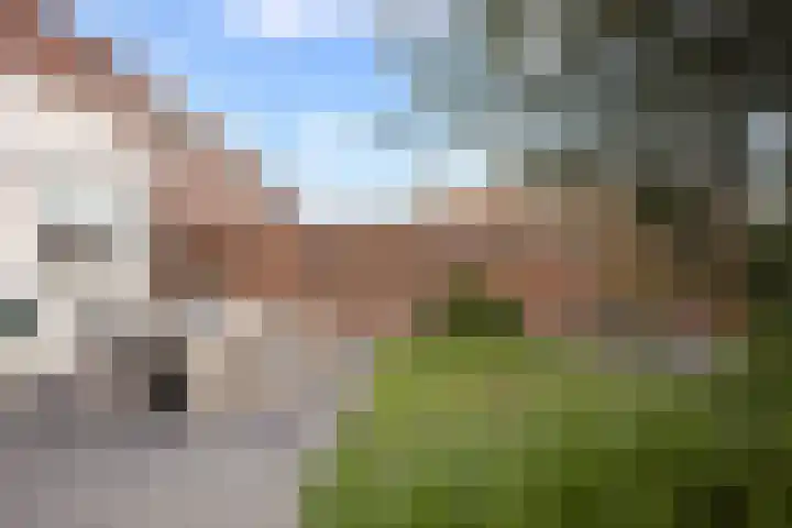 Tongelaar 24 Waalwijk thumbnail 27