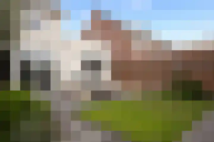 Tongelaar 24 Waalwijk thumbnail 29