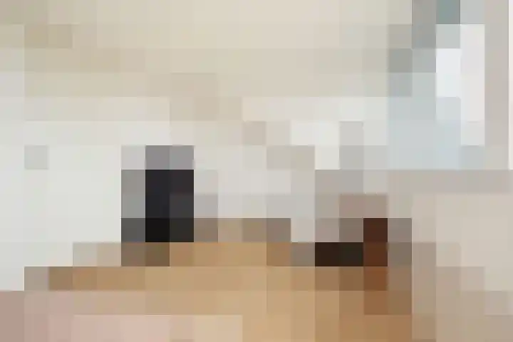 Tongelaar 24 Waalwijk thumbnail 47