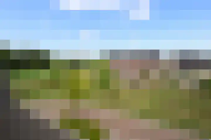 Tongelaar 24 Waalwijk thumbnail 48