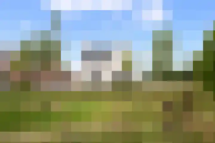 Tongelaar 24 Waalwijk thumbnail 6