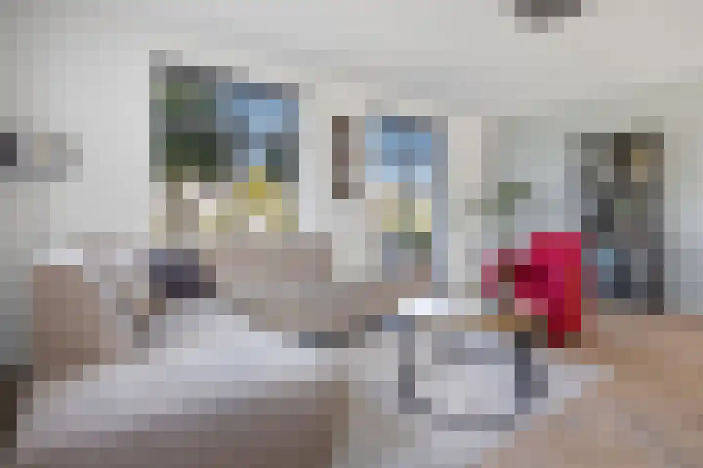 Tongelaar 26 Waalwijk thumbnail 10