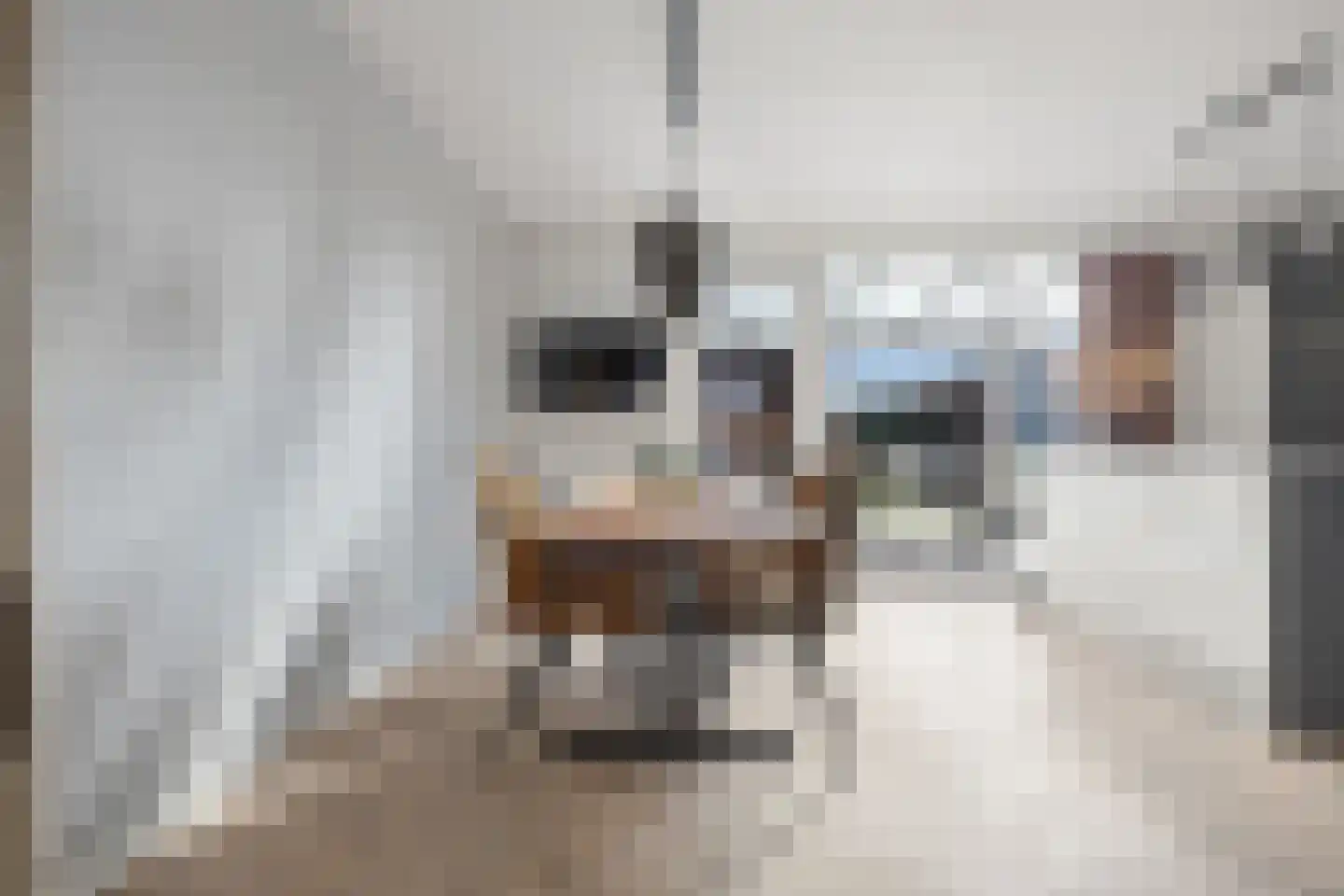Tongelaar 26 Waalwijk thumbnail 14