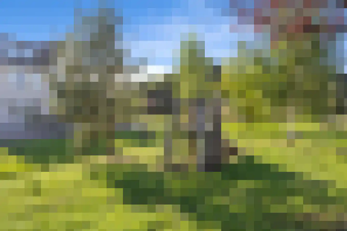 Tongelaar 26 Waalwijk thumbnail 63
