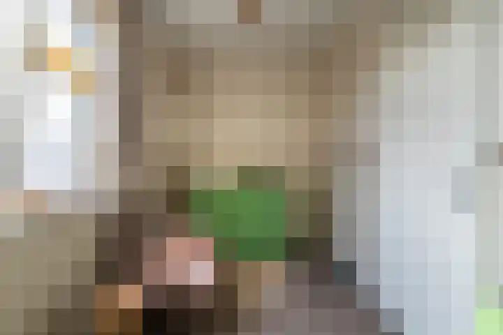 Tongelaar 48 Waalwijk thumbnail 24