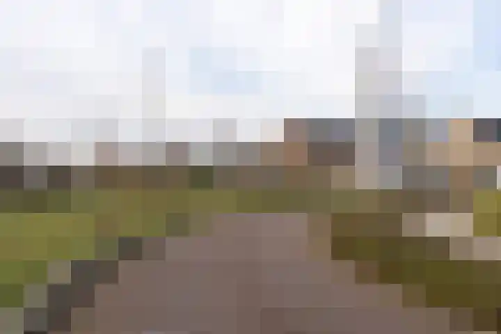 Tongelaar 48 Waalwijk thumbnail 7