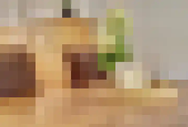 Tongelaarweg 37 Rotterdam thumbnail 13