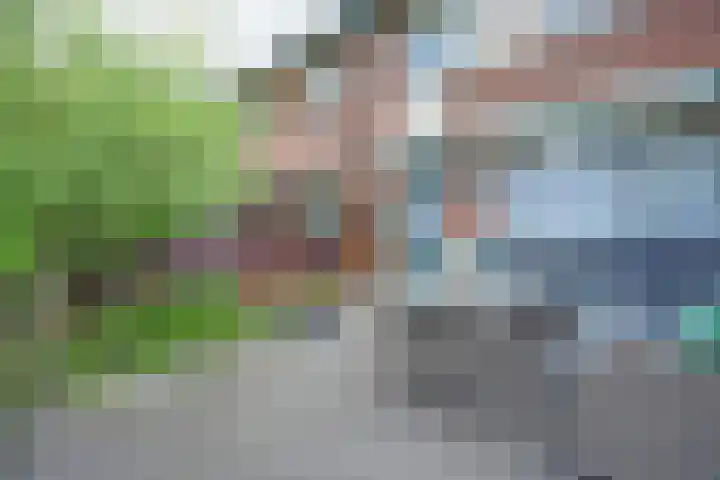 Tongelaarweg 37 Rotterdam thumbnail 32