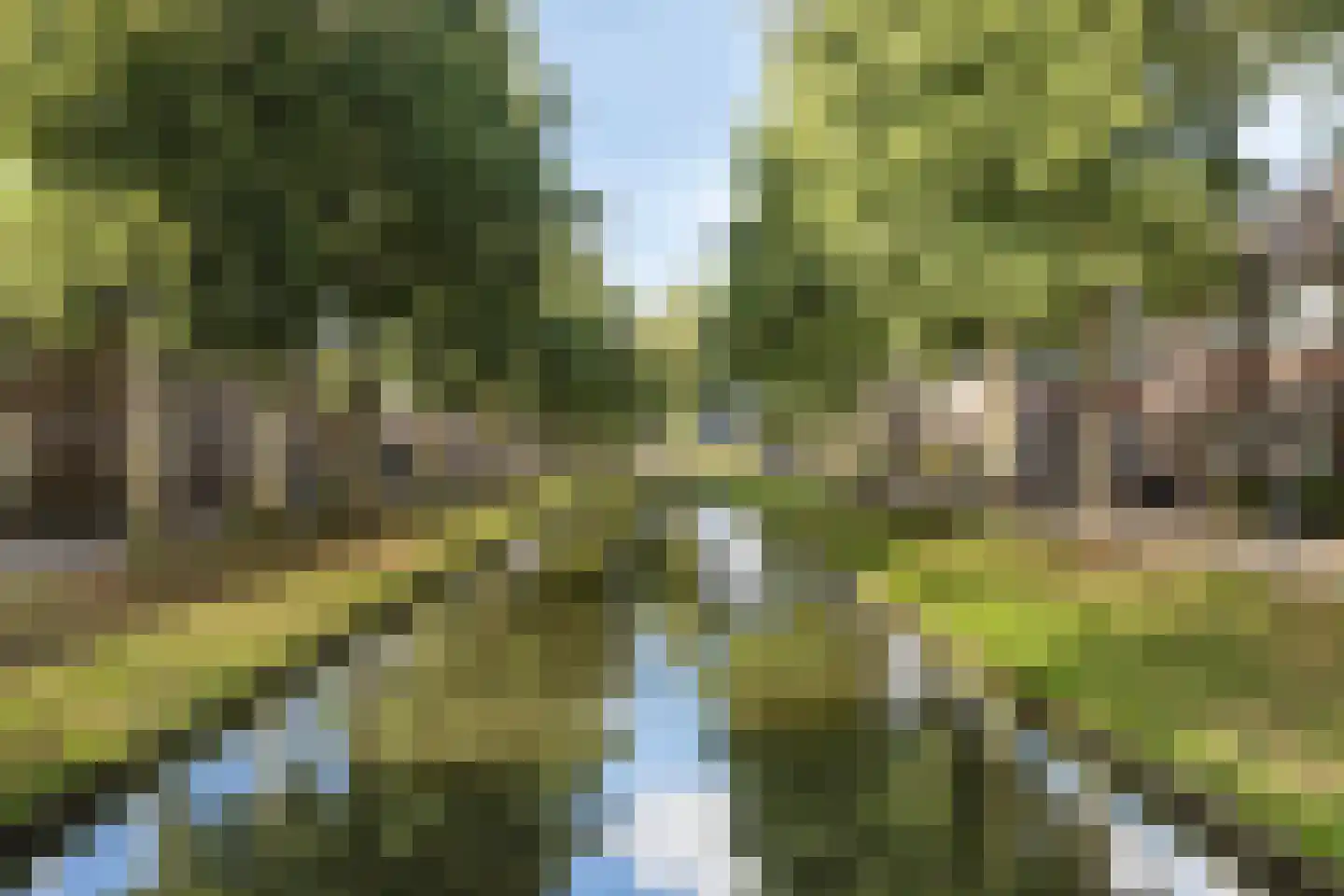 Tongelaarweg 40 Rotterdam thumbnail 30
