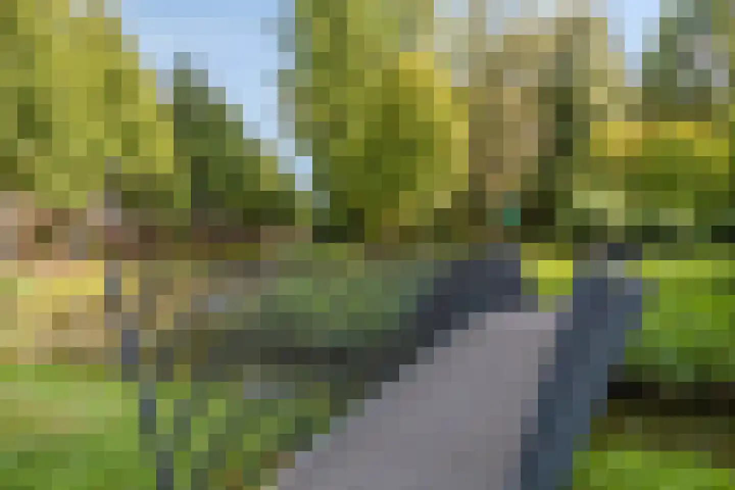 Tongelaarweg 40 Rotterdam thumbnail 32