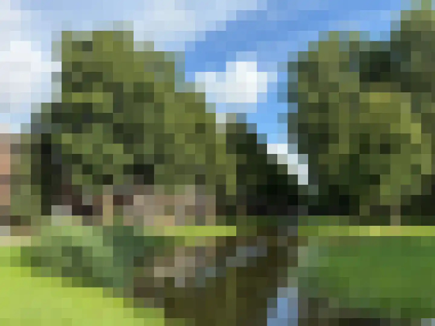 Tongelaarweg 40 Rotterdam thumbnail 35