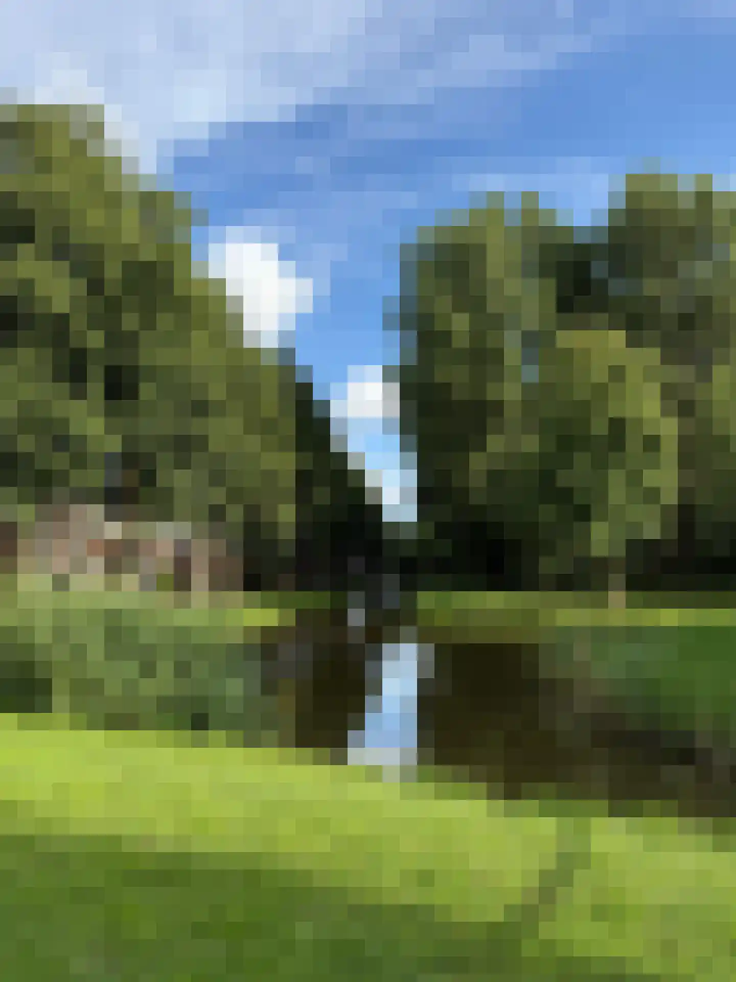 Tongelaarweg 40 Rotterdam thumbnail 36