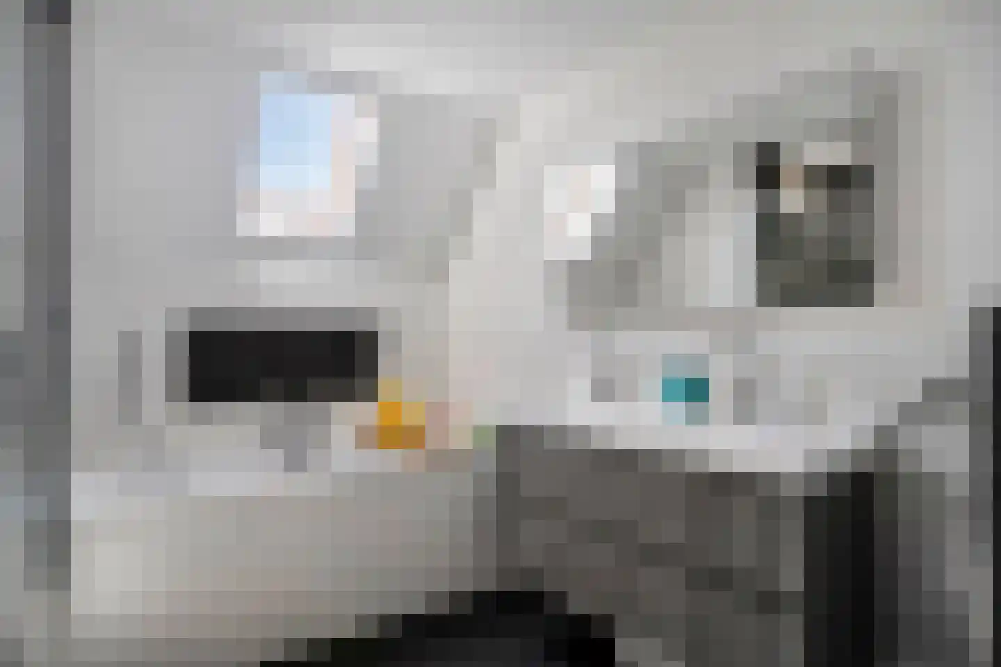 Tongelaer 1 's-Hertogenbosch thumbnail 27