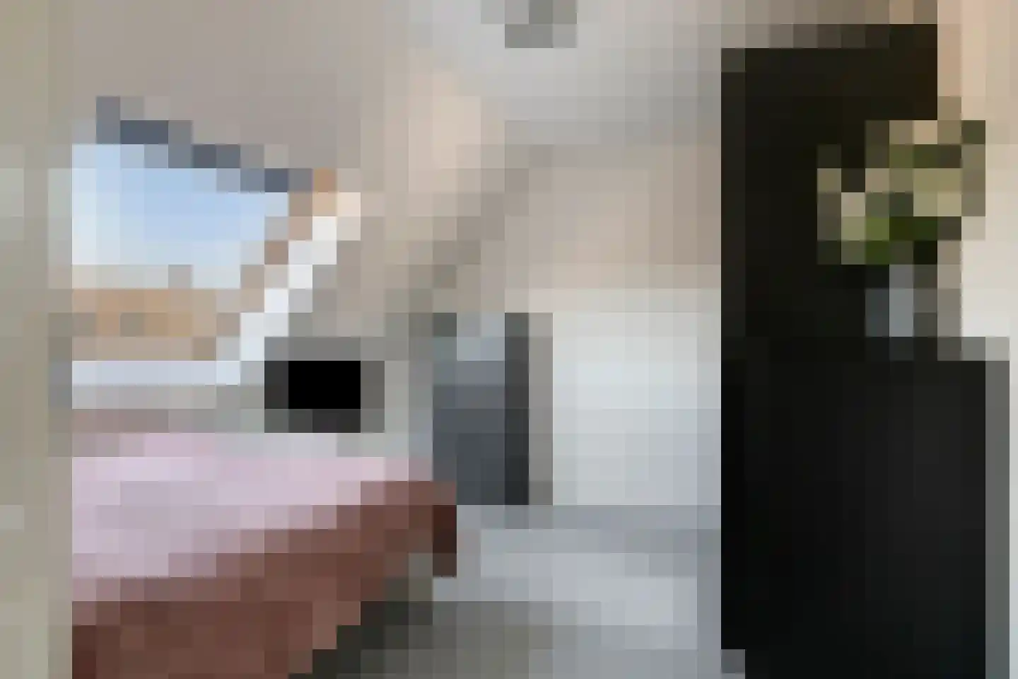 Tongelaer 1 's-Hertogenbosch thumbnail 33