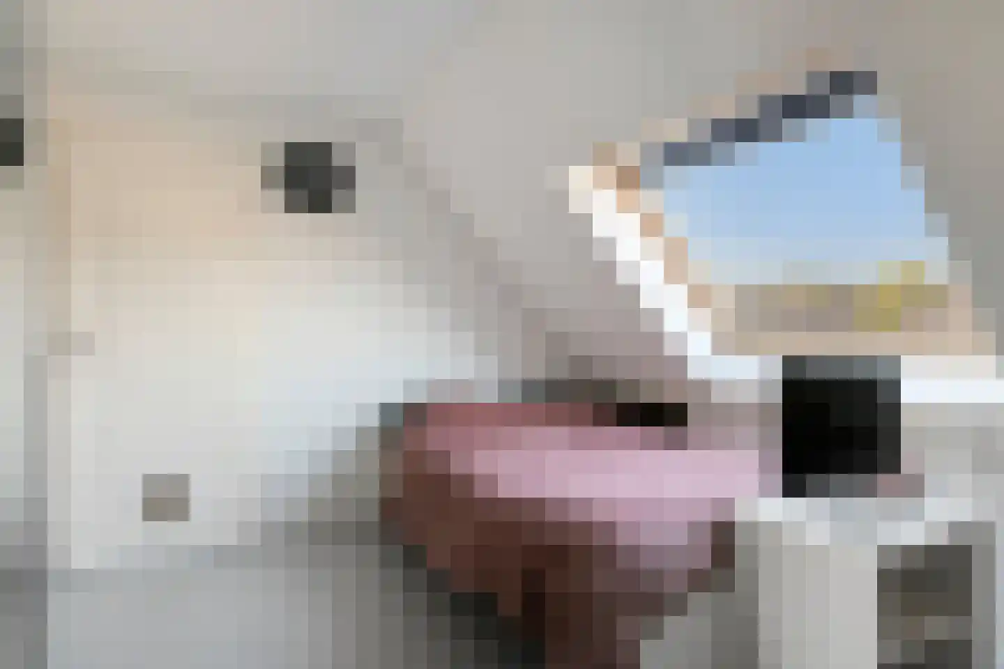 Tongelaer 1 's-Hertogenbosch thumbnail 34