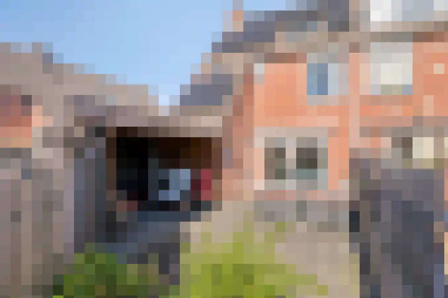 Tongelaer 1 's-Hertogenbosch thumbnail 41