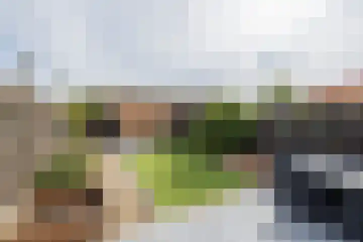 Tongelaer 106 Hillegom thumbnail 19
