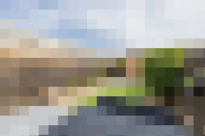 Tongelaer 106 Hillegom thumbnail 21