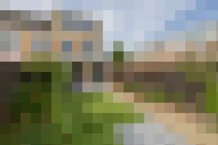 Tongelaer 106 Hillegom thumbnail 22