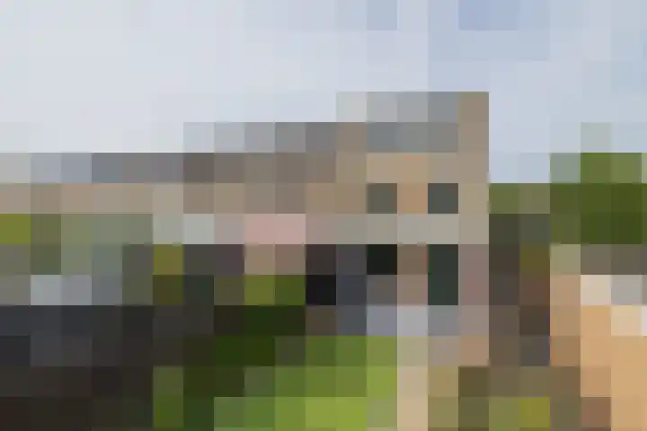 Tongelaer 106 Hillegom thumbnail 23