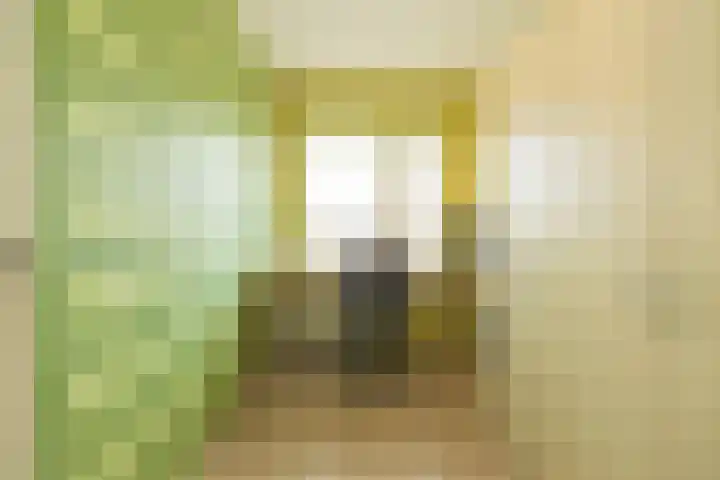 Tongelaer 106 Hillegom thumbnail 31