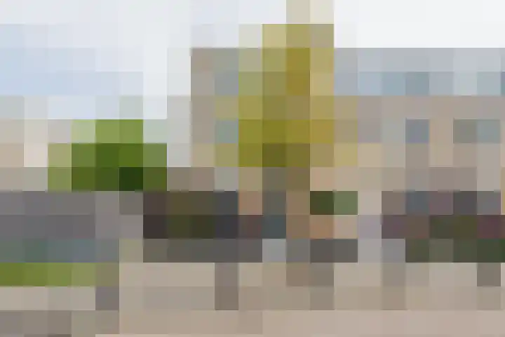 Tongelaer 106 Hillegom thumbnail 4